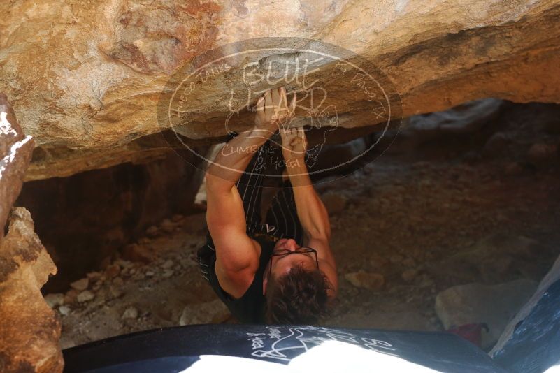 Bouldering in Hueco Tanks on 10/26/2019 with Blue Lizard Climbing and Yoga

Filename: SRM_20191026_1529230.jpg
Aperture: f/4.0
Shutter Speed: 1/250
Body: Canon EOS-1D Mark II
Lens: Canon EF 50mm f/1.8 II