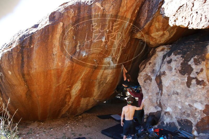 Bouldering in Hueco Tanks on 10/26/2019 with Blue Lizard Climbing and Yoga

Filename: SRM_20191026_1653010.jpg
Aperture: f/5.6
Shutter Speed: 1/250
Body: Canon EOS-1D Mark II
Lens: Canon EF 16-35mm f/2.8 L