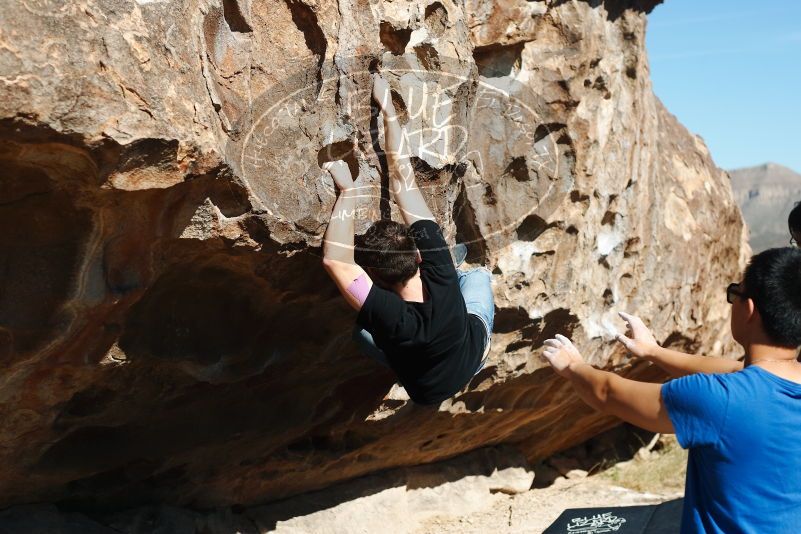 Bouldering in Hueco Tanks on 11/09/2019 with Blue Lizard Climbing and Yoga

Filename: SRM_20191109_1113470.jpg
Aperture: f/4.0
Shutter Speed: 1/1250
Body: Canon EOS-1D Mark II
Lens: Canon EF 50mm f/1.8 II