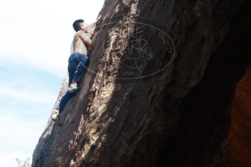 Bouldering in Hueco Tanks on 11/09/2019 with Blue Lizard Climbing and Yoga

Filename: SRM_20191109_1313440.jpg
Aperture: f/4.0
Shutter Speed: 1/400
Body: Canon EOS-1D Mark II
Lens: Canon EF 50mm f/1.8 II