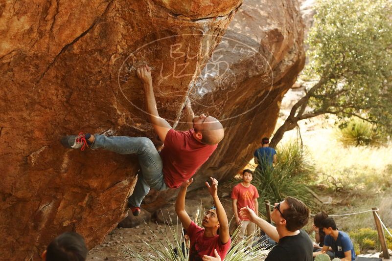 Bouldering in Hueco Tanks on 11/09/2019 with Blue Lizard Climbing and Yoga

Filename: SRM_20191109_1436040.jpg
Aperture: f/4.0
Shutter Speed: 1/320
Body: Canon EOS-1D Mark II
Lens: Canon EF 50mm f/1.8 II