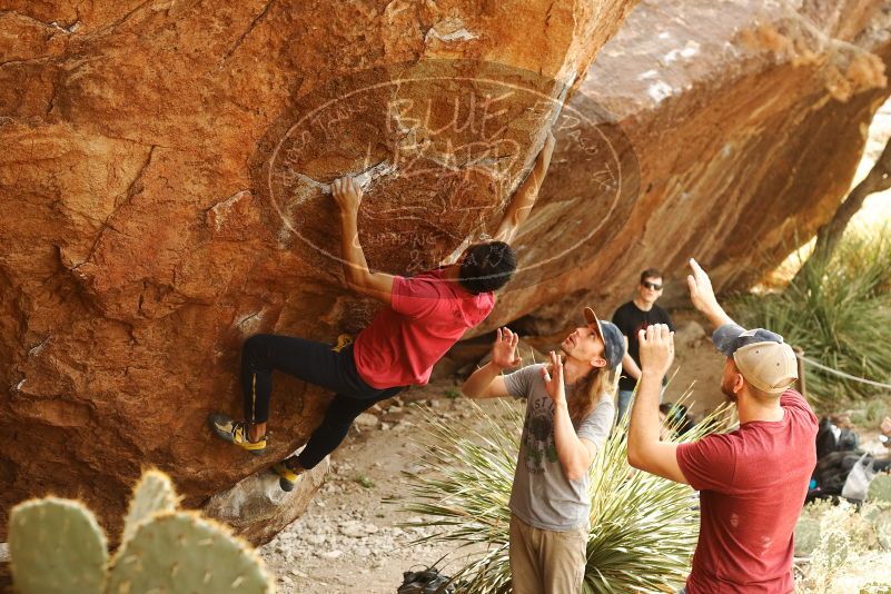 Bouldering in Hueco Tanks on 11/09/2019 with Blue Lizard Climbing and Yoga

Filename: SRM_20191109_1441140.jpg
Aperture: f/4.0
Shutter Speed: 1/200
Body: Canon EOS-1D Mark II
Lens: Canon EF 50mm f/1.8 II