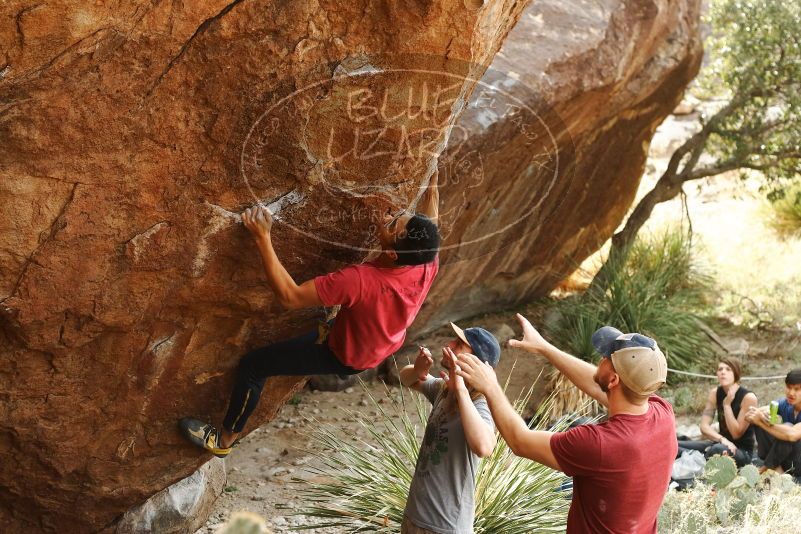 Bouldering in Hueco Tanks on 11/09/2019 with Blue Lizard Climbing and Yoga

Filename: SRM_20191109_1442160.jpg
Aperture: f/4.0
Shutter Speed: 1/250
Body: Canon EOS-1D Mark II
Lens: Canon EF 50mm f/1.8 II