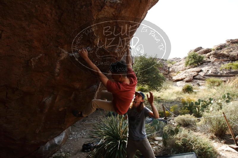 Bouldering in Hueco Tanks on 11/09/2019 with Blue Lizard Climbing and Yoga

Filename: SRM_20191109_1525080.jpg
Aperture: f/5.6
Shutter Speed: 1/320
Body: Canon EOS-1D Mark II
Lens: Canon EF 16-35mm f/2.8 L