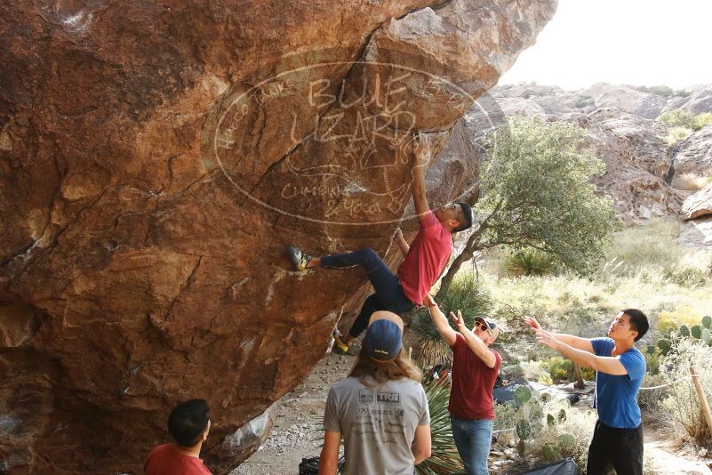 Bouldering in Hueco Tanks on 11/09/2019 with Blue Lizard Climbing and Yoga

Filename: SRM_20191109_1559090.jpg
Aperture: f/5.6
Shutter Speed: 1/320
Body: Canon EOS-1D Mark II
Lens: Canon EF 16-35mm f/2.8 L