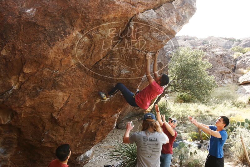 Bouldering in Hueco Tanks on 11/09/2019 with Blue Lizard Climbing and Yoga

Filename: SRM_20191109_1559130.jpg
Aperture: f/5.6
Shutter Speed: 1/320
Body: Canon EOS-1D Mark II
Lens: Canon EF 16-35mm f/2.8 L