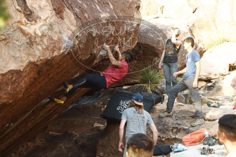 Bouldering in Hueco Tanks on 11/09/2019 with Blue Lizard Climbing and Yoga

Filename: SRM_20191109_1742240.jpg
Aperture: f/4.0
Shutter Speed: 1/400
Body: Canon EOS-1D Mark II
Lens: Canon EF 50mm f/1.8 II