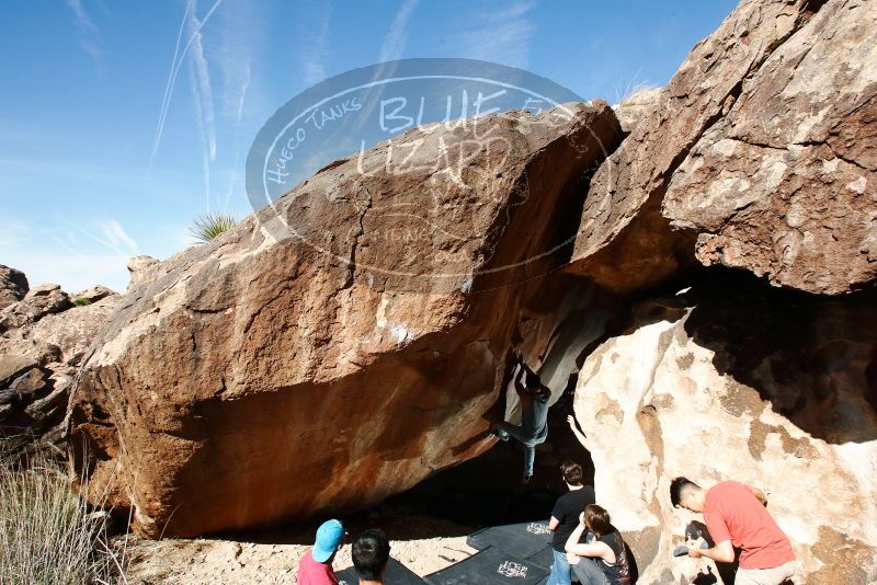 

Filename: SRM_20191109_1202420.jpg
Aperture: f/9.0
Shutter Speed: 1/250
Body: Canon EOS-1D Mark II
Lens: Canon EF 16-35mm f/2.8 L