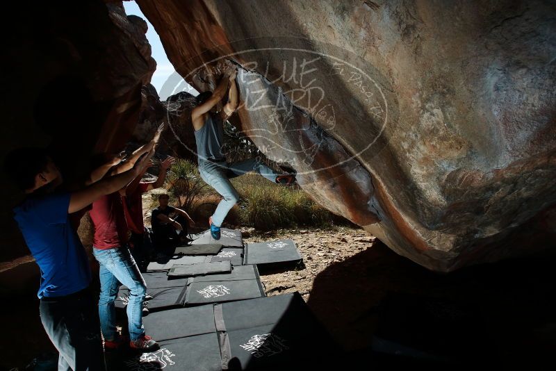 

Filename: SRM_20191109_1219040.jpg
Aperture: f/8.0
Shutter Speed: 1/250
Body: Canon EOS-1D Mark II
Lens: Canon EF 16-35mm f/2.8 L