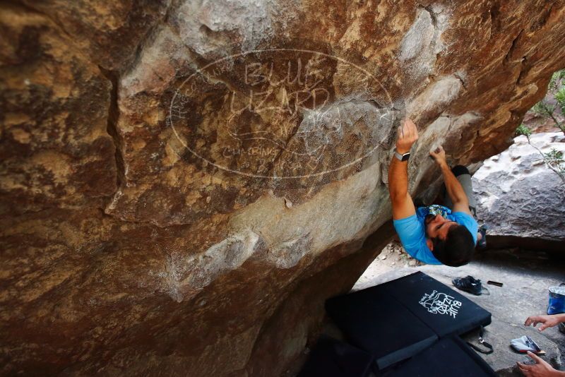 Bouldering in Hueco Tanks on 11/10/2019 with Blue Lizard Climbing and Yoga

Filename: SRM_20191110_1336430.jpg
Aperture: f/4.5
Shutter Speed: 1/250
Body: Canon EOS-1D Mark II
Lens: Canon EF 16-35mm f/2.8 L