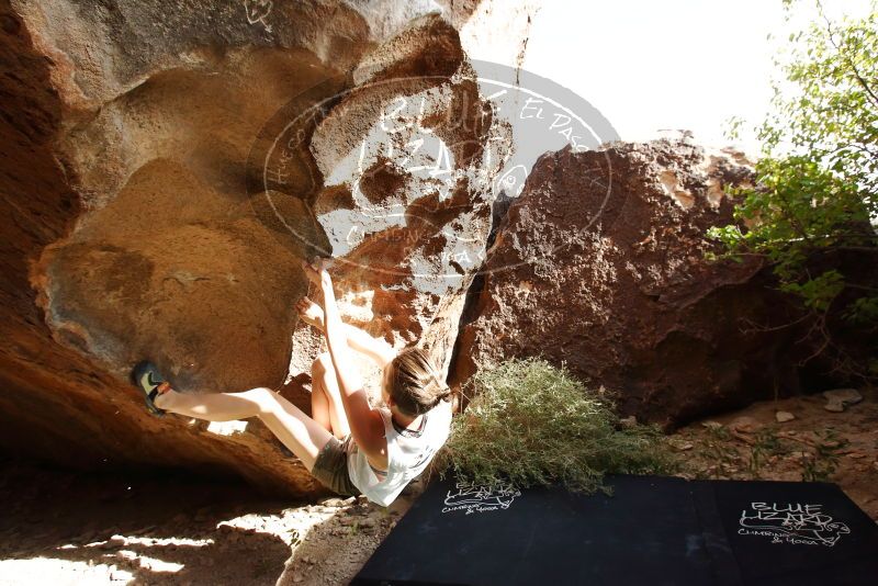 Bouldering in Hueco Tanks on 11/10/2019 with Blue Lizard Climbing and Yoga

Filename: SRM_20191110_1455590.jpg
Aperture: f/8.0
Shutter Speed: 1/320
Body: Canon EOS-1D Mark II
Lens: Canon EF 16-35mm f/2.8 L