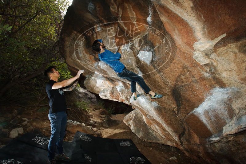 Bouldering in Hueco Tanks on 11/17/2019 with Blue Lizard Climbing and Yoga

Filename: SRM_20191117_1201380.jpg
Aperture: f/8.0
Shutter Speed: 1/250
Body: Canon EOS-1D Mark II
Lens: Canon EF 16-35mm f/2.8 L