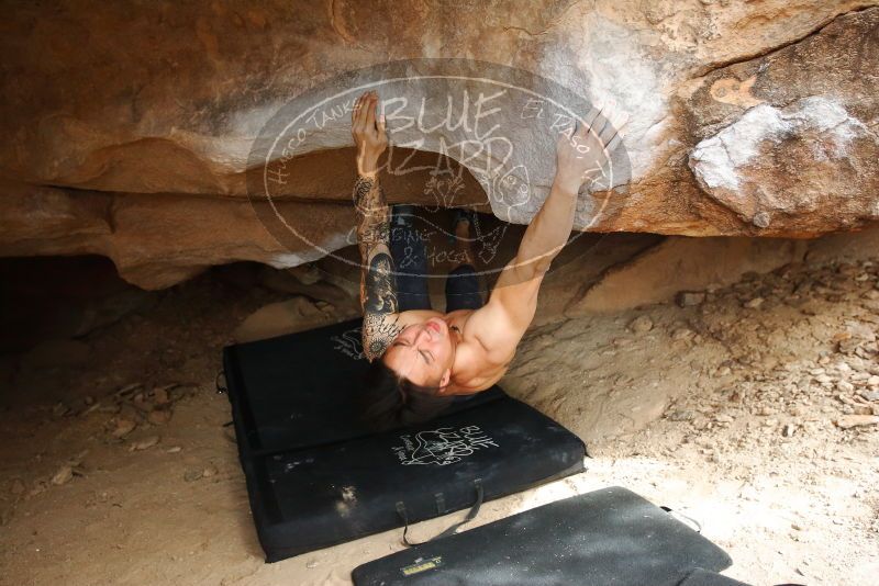 Bouldering in Hueco Tanks on 11/17/2019 with Blue Lizard Climbing and Yoga

Filename: SRM_20191117_1504540.jpg
Aperture: f/2.8
Shutter Speed: 1/250
Body: Canon EOS-1D Mark II
Lens: Canon EF 16-35mm f/2.8 L