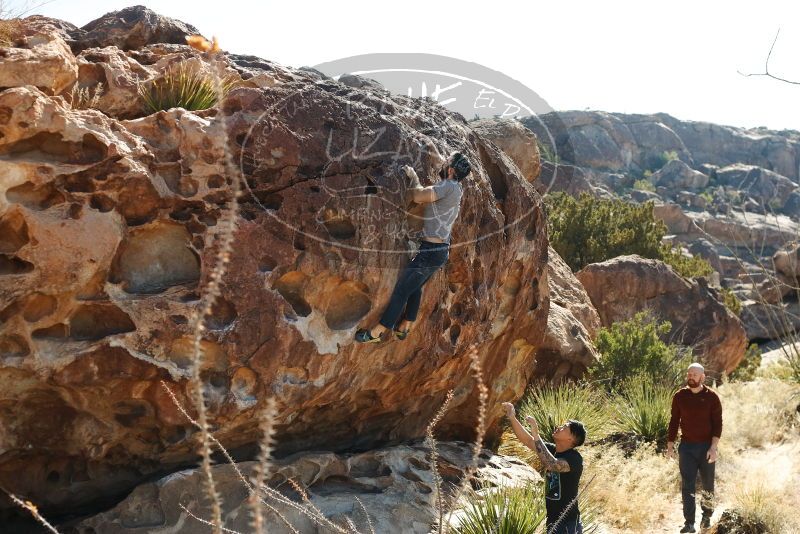 Bouldering in Hueco Tanks on 11/18/2019 with Blue Lizard Climbing and Yoga

Filename: SRM_20191118_1143480.jpg
Aperture: f/5.0
Shutter Speed: 1/250
Body: Canon EOS-1D Mark II
Lens: Canon EF 50mm f/1.8 II