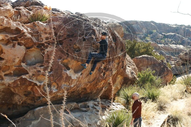 Bouldering in Hueco Tanks on 11/18/2019 with Blue Lizard Climbing and Yoga

Filename: SRM_20191118_1144500.jpg
Aperture: f/5.0
Shutter Speed: 1/250
Body: Canon EOS-1D Mark II
Lens: Canon EF 50mm f/1.8 II