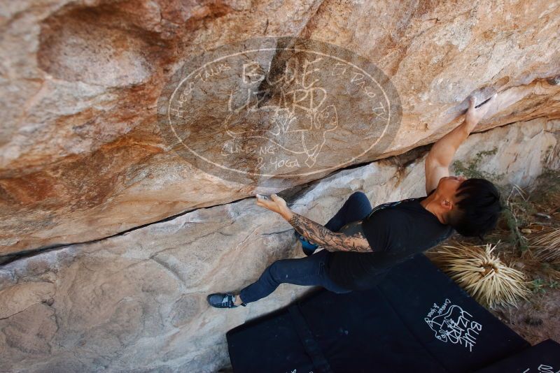 Bouldering in Hueco Tanks on 11/18/2019 with Blue Lizard Climbing and Yoga

Filename: SRM_20191118_1233580.jpg
Aperture: f/5.0
Shutter Speed: 1/250
Body: Canon EOS-1D Mark II
Lens: Canon EF 16-35mm f/2.8 L