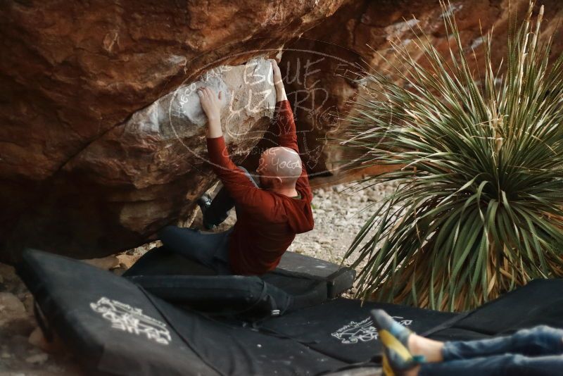 Bouldering in Hueco Tanks on 11/18/2019 with Blue Lizard Climbing and Yoga

Filename: SRM_20191118_1813030.jpg
Aperture: f/2.0
Shutter Speed: 1/250
Body: Canon EOS-1D Mark II
Lens: Canon EF 50mm f/1.8 II