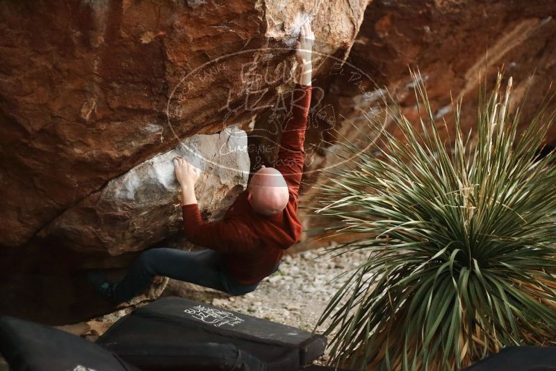 Bouldering in Hueco Tanks on 11/18/2019 with Blue Lizard Climbing and Yoga

Filename: SRM_20191118_1813160.jpg
Aperture: f/2.0
Shutter Speed: 1/250
Body: Canon EOS-1D Mark II
Lens: Canon EF 50mm f/1.8 II