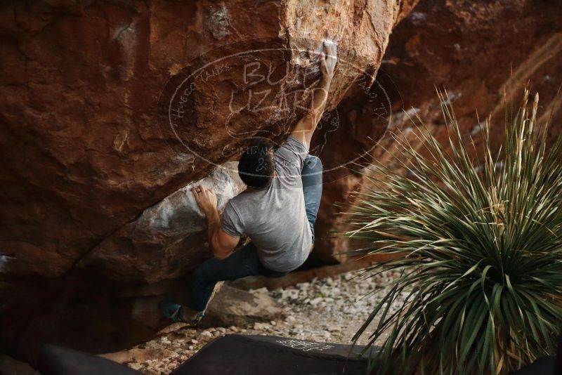 Bouldering in Hueco Tanks on 11/18/2019 with Blue Lizard Climbing and Yoga

Filename: SRM_20191118_1816371.jpg
Aperture: f/1.8
Shutter Speed: 1/200
Body: Canon EOS-1D Mark II
Lens: Canon EF 50mm f/1.8 II