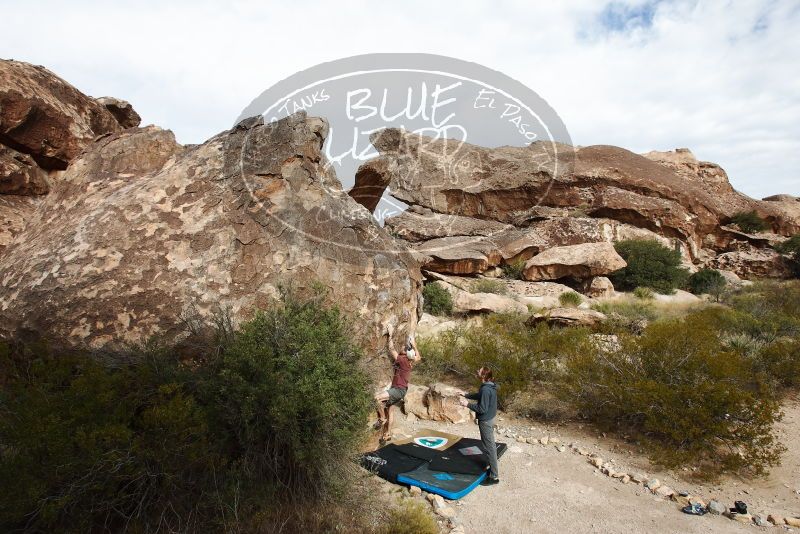 Bouldering in Hueco Tanks on 11/16/2019 with Blue Lizard Climbing and Yoga

Filename: SRM_20191116_1032090.jpg
Aperture: f/8.0
Shutter Speed: 1/400
Body: Canon EOS-1D Mark II
Lens: Canon EF 16-35mm f/2.8 L