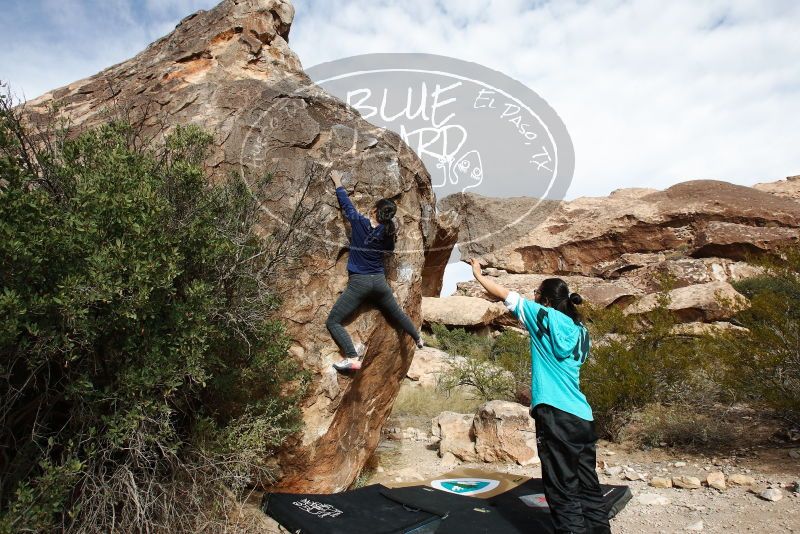 Bouldering in Hueco Tanks on 11/16/2019 with Blue Lizard Climbing and Yoga

Filename: SRM_20191116_1035510.jpg
Aperture: f/8.0
Shutter Speed: 1/400
Body: Canon EOS-1D Mark II
Lens: Canon EF 16-35mm f/2.8 L