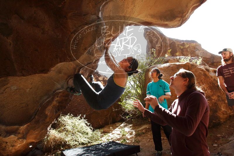 Bouldering in Hueco Tanks on 11/16/2019 with Blue Lizard Climbing and Yoga

Filename: SRM_20191116_1222260.jpg
Aperture: f/5.6
Shutter Speed: 1/500
Body: Canon EOS-1D Mark II
Lens: Canon EF 16-35mm f/2.8 L