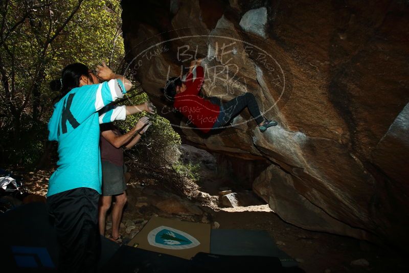 Bouldering in Hueco Tanks on 11/16/2019 with Blue Lizard Climbing and Yoga

Filename: SRM_20191116_1401210.jpg
Aperture: f/8.0
Shutter Speed: 1/250
Body: Canon EOS-1D Mark II
Lens: Canon EF 16-35mm f/2.8 L