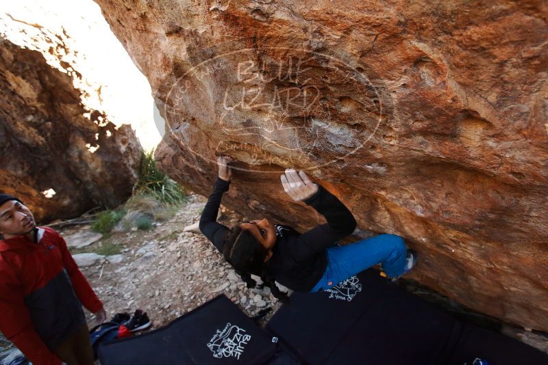 Bouldering in Hueco Tanks on 11/23/2019 with Blue Lizard Climbing and Yoga

Filename: SRM_20191123_1233180.jpg
Aperture: f/5.0
Shutter Speed: 1/250
Body: Canon EOS-1D Mark II
Lens: Canon EF 16-35mm f/2.8 L