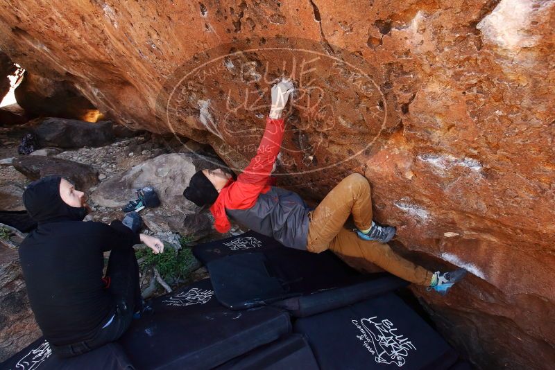 Bouldering in Hueco Tanks on 11/23/2019 with Blue Lizard Climbing and Yoga

Filename: SRM_20191123_1259030.jpg
Aperture: f/6.3
Shutter Speed: 1/160
Body: Canon EOS-1D Mark II
Lens: Canon EF 16-35mm f/2.8 L