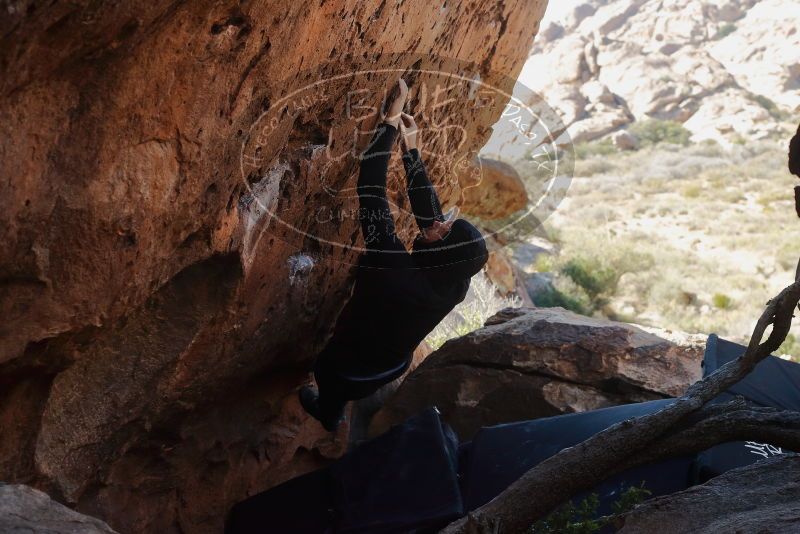 Bouldering in Hueco Tanks on 11/23/2019 with Blue Lizard Climbing and Yoga

Filename: SRM_20191123_1313350.jpg
Aperture: f/5.6
Shutter Speed: 1/250
Body: Canon EOS-1D Mark II
Lens: Canon EF 50mm f/1.8 II