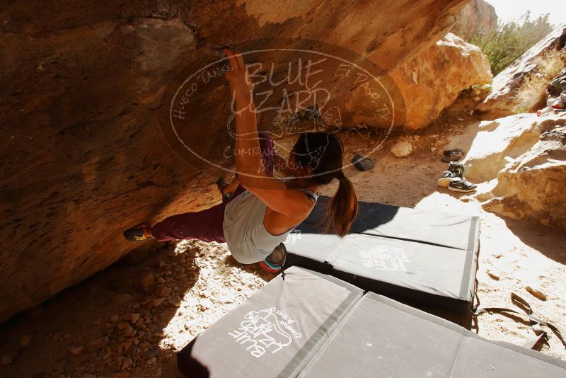 Bouldering in Hueco Tanks on 11/23/2019 with Blue Lizard Climbing and Yoga

Filename: SRM_20191123_1428230.jpg
Aperture: f/5.6
Shutter Speed: 1/250
Body: Canon EOS-1D Mark II
Lens: Canon EF 16-35mm f/2.8 L