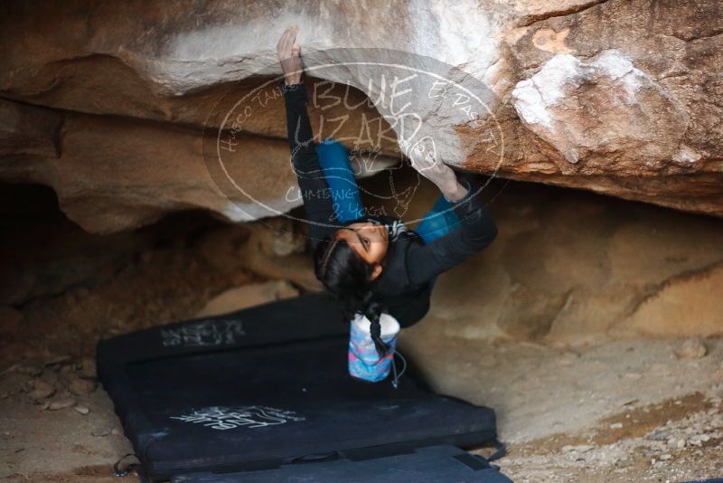 Bouldering in Hueco Tanks on 11/23/2019 with Blue Lizard Climbing and Yoga

Filename: SRM_20191123_1724530.jpg
Aperture: f/1.8
Shutter Speed: 1/160
Body: Canon EOS-1D Mark II
Lens: Canon EF 50mm f/1.8 II