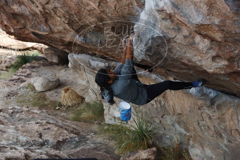 Bouldering in Hueco Tanks on 11/24/2019 with Blue Lizard Climbing and Yoga

Filename: SRM_20191124_1007100.jpg
Aperture: f/5.6
Shutter Speed: 1/250
Body: Canon EOS-1D Mark II
Lens: Canon EF 50mm f/1.8 II