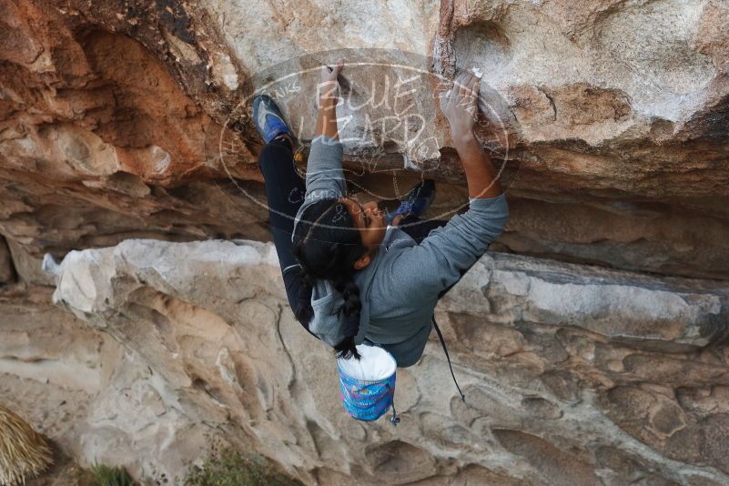 Bouldering in Hueco Tanks on 11/24/2019 with Blue Lizard Climbing and Yoga

Filename: SRM_20191124_1015190.jpg
Aperture: f/6.3
Shutter Speed: 1/250
Body: Canon EOS-1D Mark II
Lens: Canon EF 50mm f/1.8 II