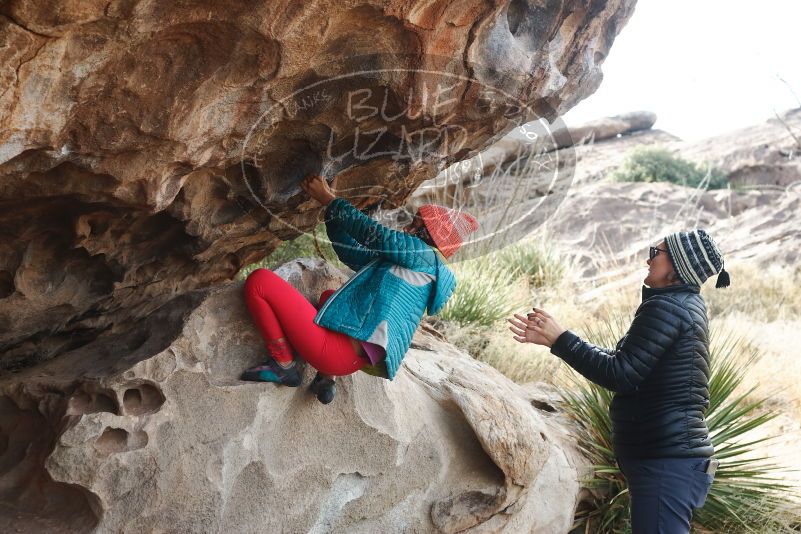 Bouldering in Hueco Tanks on 11/24/2019 with Blue Lizard Climbing and Yoga

Filename: SRM_20191124_1023270.jpg
Aperture: f/5.0
Shutter Speed: 1/250
Body: Canon EOS-1D Mark II
Lens: Canon EF 50mm f/1.8 II