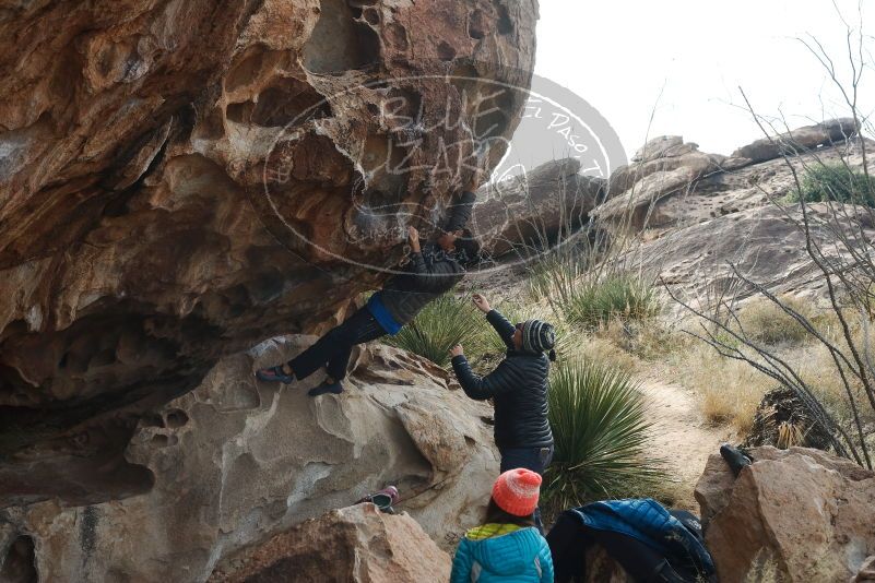 Bouldering in Hueco Tanks on 11/24/2019 with Blue Lizard Climbing and Yoga

Filename: SRM_20191124_1028590.jpg
Aperture: f/8.0
Shutter Speed: 1/250
Body: Canon EOS-1D Mark II
Lens: Canon EF 50mm f/1.8 II