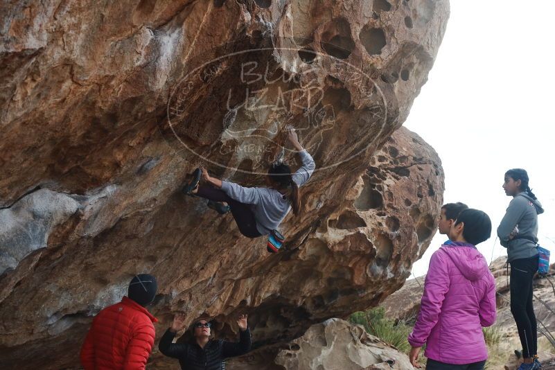 Bouldering in Hueco Tanks on 11/24/2019 with Blue Lizard Climbing and Yoga

Filename: SRM_20191124_1038540.jpg
Aperture: f/9.0
Shutter Speed: 1/250
Body: Canon EOS-1D Mark II
Lens: Canon EF 50mm f/1.8 II