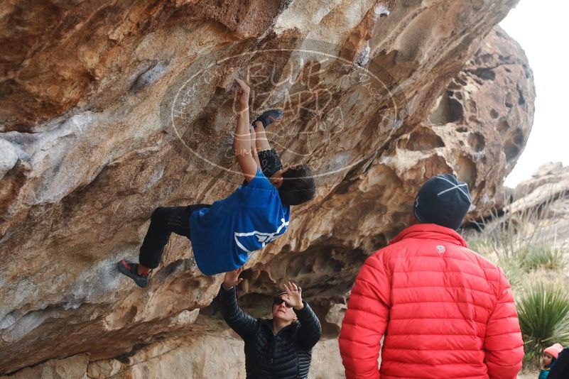 Bouldering in Hueco Tanks on 11/24/2019 with Blue Lizard Climbing and Yoga

Filename: SRM_20191124_1043220.jpg
Aperture: f/5.6
Shutter Speed: 1/320
Body: Canon EOS-1D Mark II
Lens: Canon EF 50mm f/1.8 II