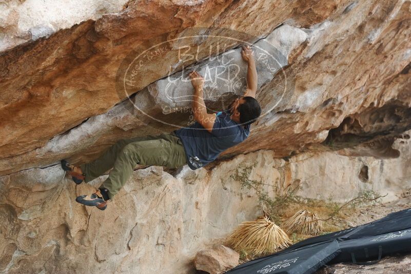 Bouldering in Hueco Tanks on 11/24/2019 with Blue Lizard Climbing and Yoga

Filename: SRM_20191124_1054450.jpg
Aperture: f/5.6
Shutter Speed: 1/320
Body: Canon EOS-1D Mark II
Lens: Canon EF 50mm f/1.8 II