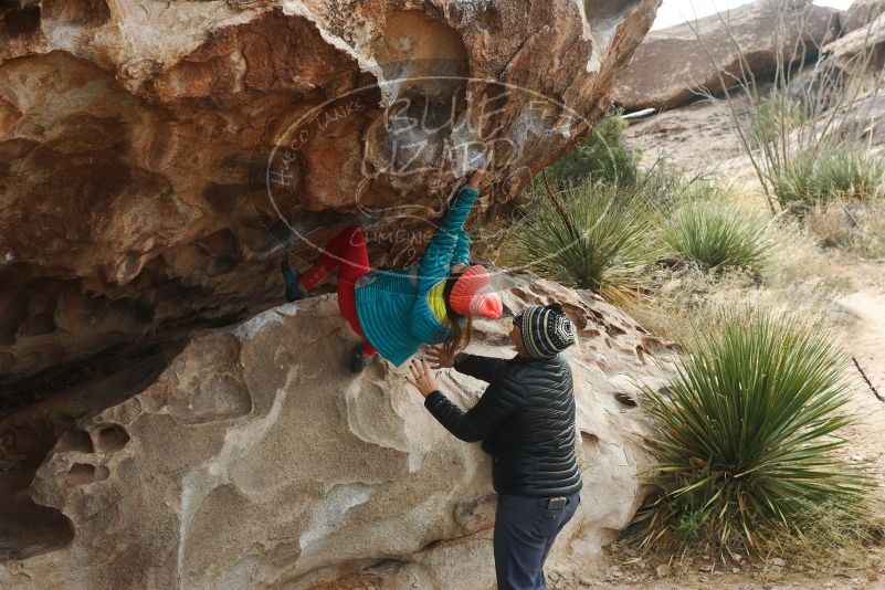 Bouldering in Hueco Tanks on 11/24/2019 with Blue Lizard Climbing and Yoga

Filename: SRM_20191124_1055090.jpg
Aperture: f/7.1
Shutter Speed: 1/320
Body: Canon EOS-1D Mark II
Lens: Canon EF 50mm f/1.8 II