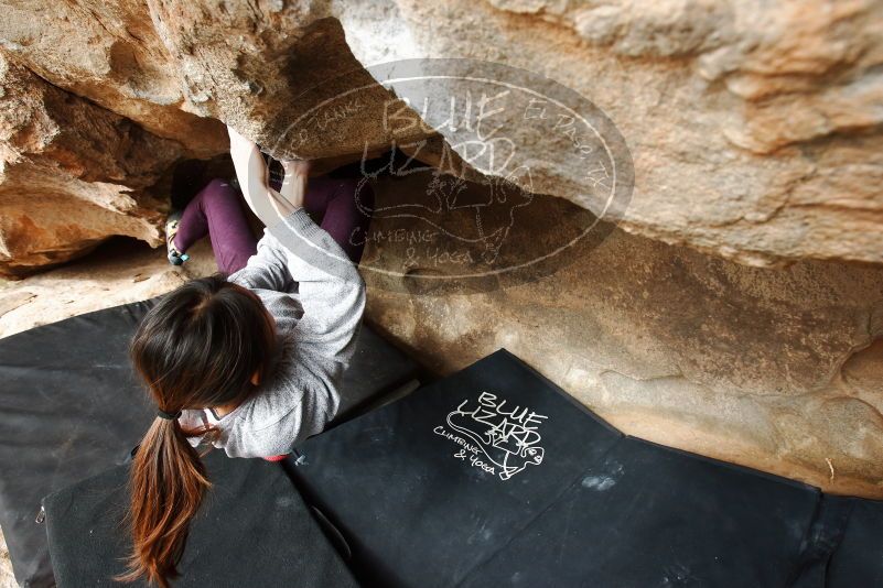 Bouldering in Hueco Tanks on 11/24/2019 with Blue Lizard Climbing and Yoga

Filename: SRM_20191124_1129130.jpg
Aperture: f/6.3
Shutter Speed: 1/320
Body: Canon EOS-1D Mark II
Lens: Canon EF 16-35mm f/2.8 L