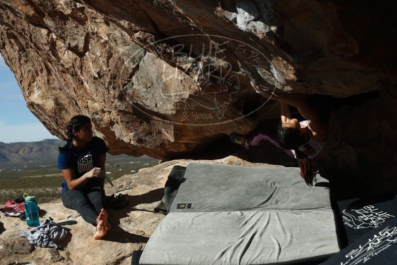 Bouldering in Hueco Tanks on 11/24/2019 with Blue Lizard Climbing and Yoga

Filename: SRM_20191124_1158260.jpg
Aperture: f/5.6
Shutter Speed: 1/500
Body: Canon EOS-1D Mark II
Lens: Canon EF 50mm f/1.8 II