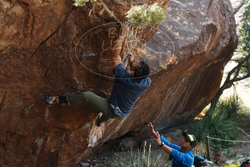 Bouldering in Hueco Tanks on 11/24/2019 with Blue Lizard Climbing and Yoga

Filename: SRM_20191124_1310100.jpg
Aperture: f/4.5
Shutter Speed: 1/320
Body: Canon EOS-1D Mark II
Lens: Canon EF 50mm f/1.8 II