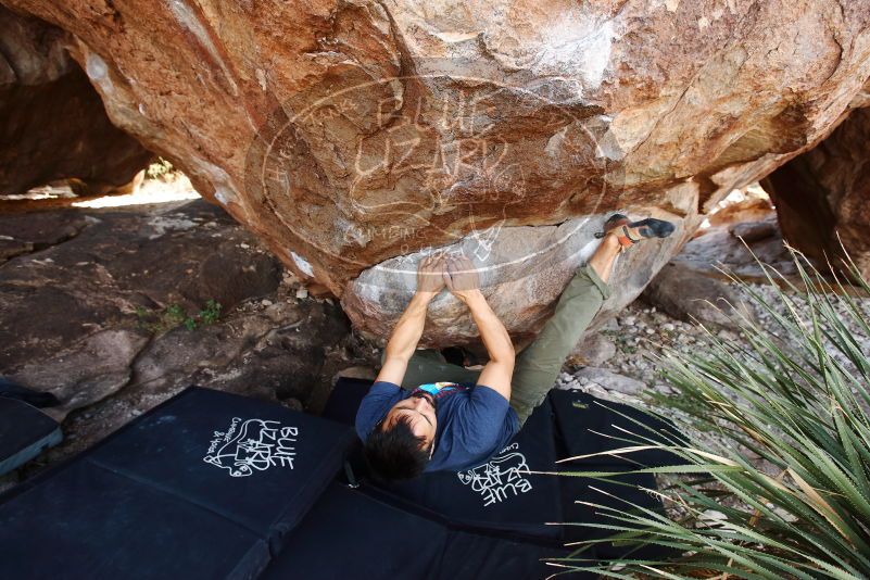 Bouldering in Hueco Tanks on 11/24/2019 with Blue Lizard Climbing and Yoga

Filename: SRM_20191124_1328550.jpg
Aperture: f/4.5
Shutter Speed: 1/250
Body: Canon EOS-1D Mark II
Lens: Canon EF 16-35mm f/2.8 L