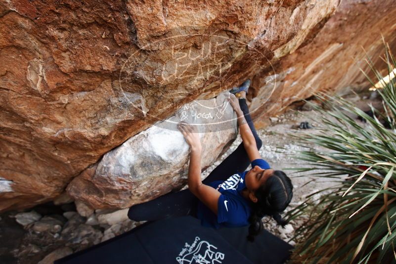 Bouldering in Hueco Tanks on 11/24/2019 with Blue Lizard Climbing and Yoga

Filename: SRM_20191124_1336030.jpg
Aperture: f/4.5
Shutter Speed: 1/250
Body: Canon EOS-1D Mark II
Lens: Canon EF 16-35mm f/2.8 L