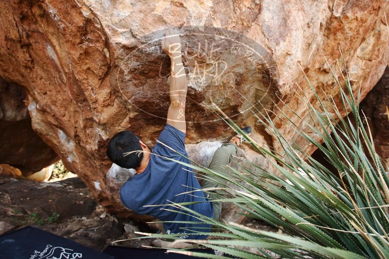 Bouldering in Hueco Tanks on 11/24/2019 with Blue Lizard Climbing and Yoga

Filename: SRM_20191124_1337150.jpg
Aperture: f/4.5
Shutter Speed: 1/250
Body: Canon EOS-1D Mark II
Lens: Canon EF 16-35mm f/2.8 L