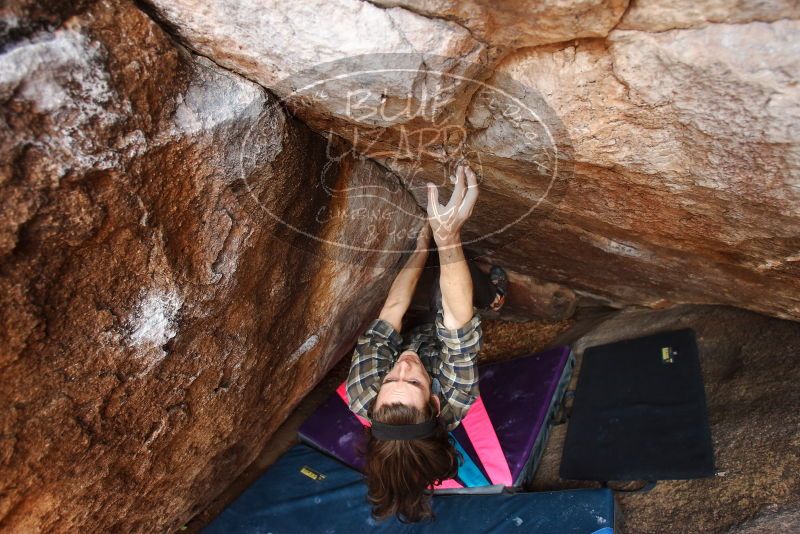 Bouldering in Hueco Tanks on 11/25/2019 with Blue Lizard Climbing and Yoga

Filename: SRM_20191125_1144140.jpg
Aperture: f/4.0
Shutter Speed: 1/250
Body: Canon EOS-1D Mark II
Lens: Canon EF 16-35mm f/2.8 L