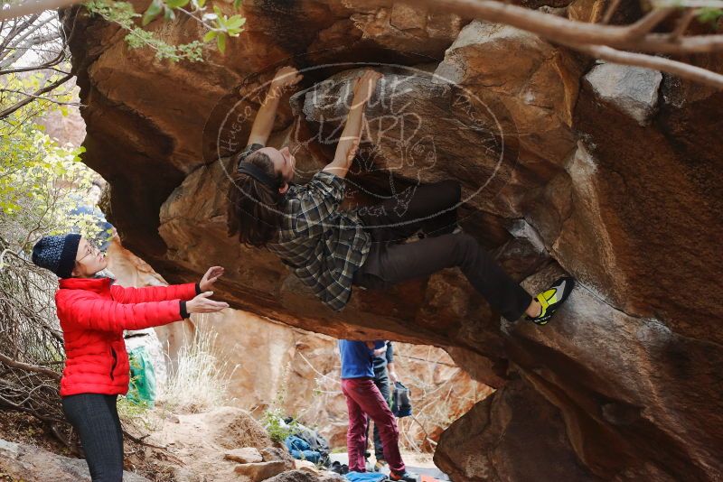 Bouldering in Hueco Tanks on 11/25/2019 with Blue Lizard Climbing and Yoga

Filename: SRM_20191125_1343360.jpg
Aperture: f/4.0
Shutter Speed: 1/320
Body: Canon EOS-1D Mark II
Lens: Canon EF 50mm f/1.8 II