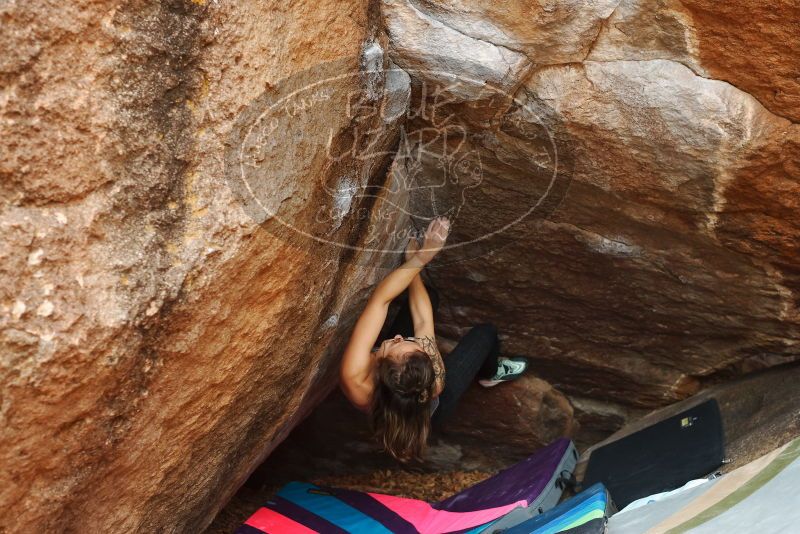 Bouldering in Hueco Tanks on 11/25/2019 with Blue Lizard Climbing and Yoga

Filename: SRM_20191125_1207570.jpg
Aperture: f/4.0
Shutter Speed: 1/250
Body: Canon EOS-1D Mark II
Lens: Canon EF 50mm f/1.8 II