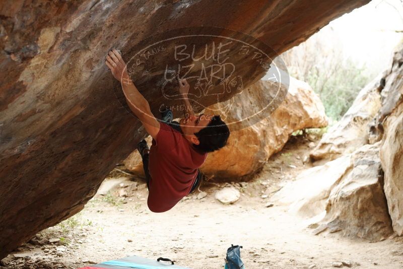 Bouldering in Hueco Tanks on 11/25/2019 with Blue Lizard Climbing and Yoga

Filename: SRM_20191125_1226471.jpg
Aperture: f/4.0
Shutter Speed: 1/250
Body: Canon EOS-1D Mark II
Lens: Canon EF 50mm f/1.8 II